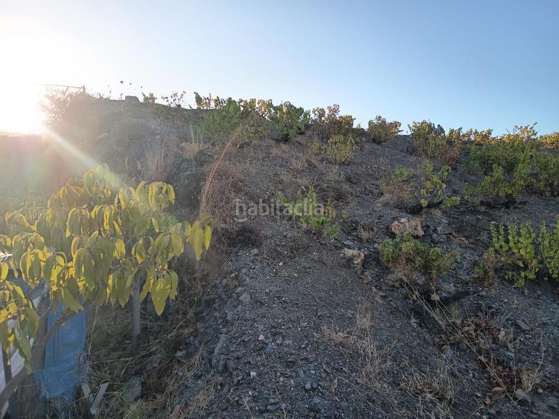 Foto 1f5b0cc2-c97d-4ca2-9d03-5ab527e21c65. Finca rústica finca de mangos en canillas de aceituno en Almayate Bajo