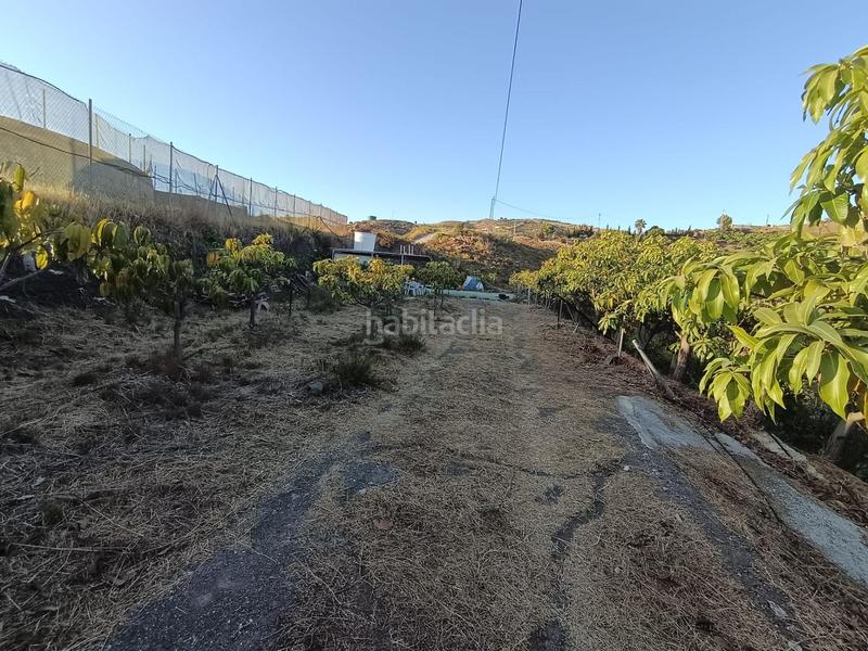 Foto 3c95c08a-5e6a-4efe-b644-ee0902f59c86. Finca rústica finca de mangos en canillas de aceituno en Almayate Bajo