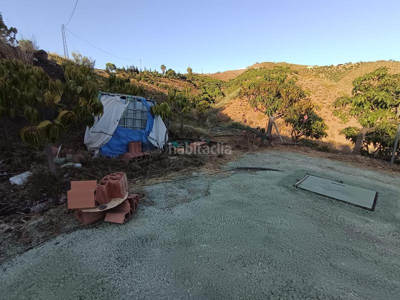 Foto 3e8b0d40-2456-4abe-b76b-87fc71a3ddcd. Finca rústica finca de mangos en canillas de aceituno en Almayate Bajo