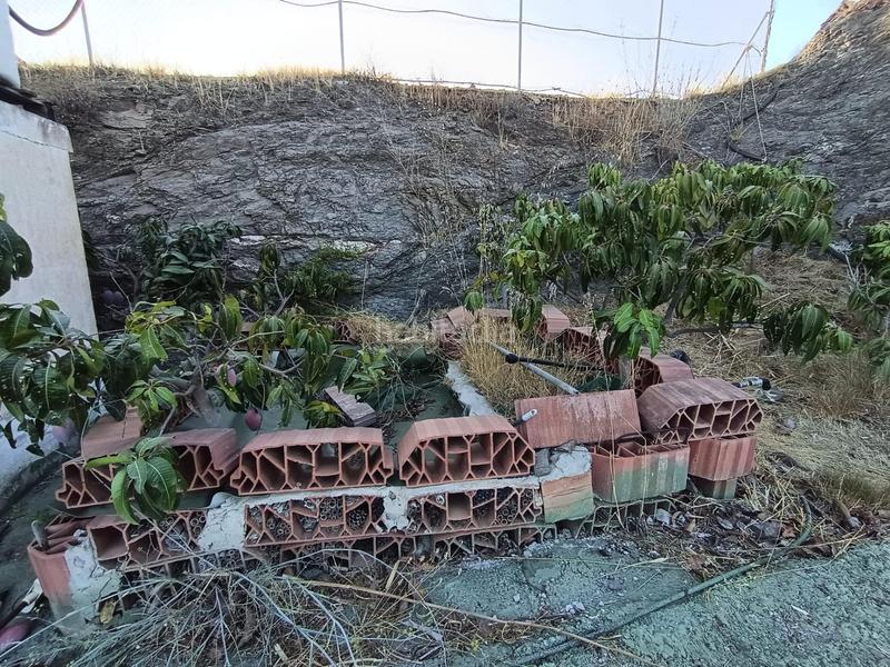 Foto 4ff901ab-ce89-4203-8346-8e7d825e4a7b. Finca rústica finca de mangos en canillas de aceituno en Almayate Bajo