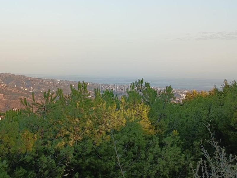 Foto 5dc23354-3a9b-4526-83ad-ee3a93c55a98. Finca rústica finca de mangos en canillas de aceituno en Almayate Bajo