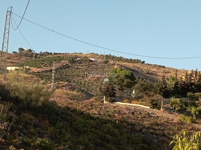 Foto 6ac0ee3d-5f8f-4e27-9e0f-7f010f7baf97. Finca rústica finca de mangos en canillas de aceituno en Almayate Bajo