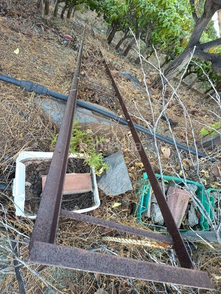 Foto 8db3f17b-d925-4e72-a44b-775a2da3c259. Finca rústica finca de mangos en canillas de aceituno en Almayate Bajo