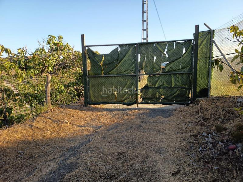 Foto 95ff243f-a221-49b6-90c7-5e52582e8abf. Finca rústica finca de mangos en canillas de aceituno en Almayate Bajo