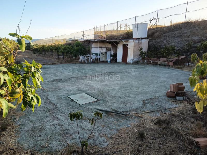 Foto 97a749b1-fb97-4d65-801a-3b8b34bbe570. Finca rústica finca de mangos en canillas de aceituno en Almayate Bajo