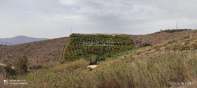 Foto a27652a2-b18e-4853-9172-40e165b74317. Finca rústica finca de mangos en canillas de aceituno en Almayate Bajo