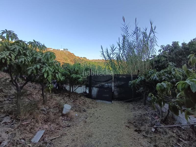 Foto a52f21ea-ec31-4176-a1f8-7adb9531c6f4. Finca rústica finca de mangos en canillas de aceituno en Almayate Bajo
