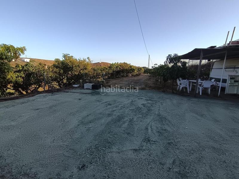 Foto b791656d-ee58-4ada-b9aa-67bbc1fb7b9b. Finca rústica finca de mangos en canillas de aceituno en Almayate Bajo