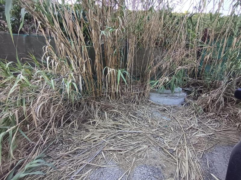 Foto c3b601c4-b6ee-463d-9288-00f92639677f. Finca rústica finca de mangos en canillas de aceituno en Almayate Bajo