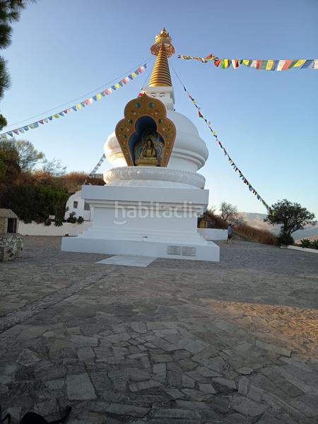 Foto d6a27170-25bf-4804-9eac-a070511c0c34. Finca rústica finca de mangos en canillas de aceituno en Almayate Bajo