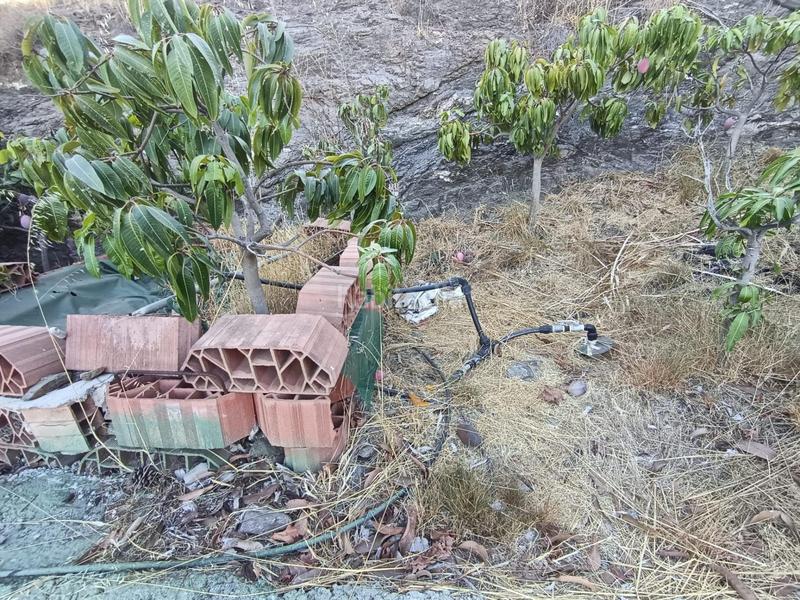 Foto da8d7cd2-9e08-4370-a9c9-1752c39e99ba. Finca rústica finca de mangos en canillas de aceituno en Almayate Bajo