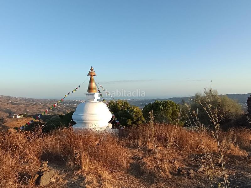 Foto ed1c8bf9-45fb-4dbb-aac3-16951017fd09. Finca rústica finca de mangos en canillas de aceituno en Almayate Bajo