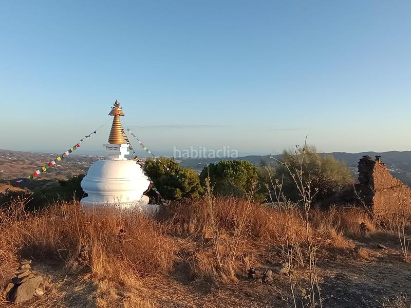 Foto efcff0fb-c1ef-4a5b-8284-2c36cee56d84. Finca rústica finca de mangos en canillas de aceituno en Almayate Bajo