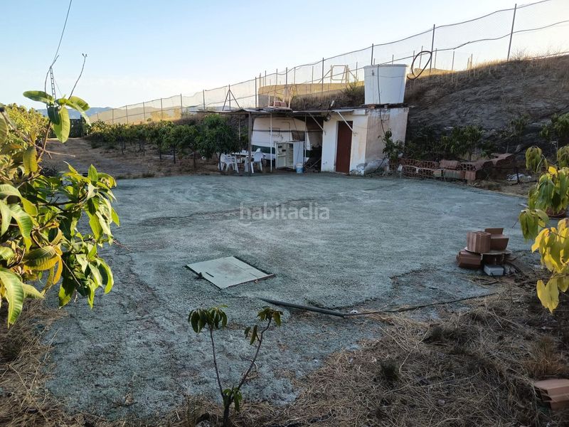 Foto 97a749b1-fb97-4d65-801a-3b8b34bbe570. Finca rústica a Canillas de Aceituno