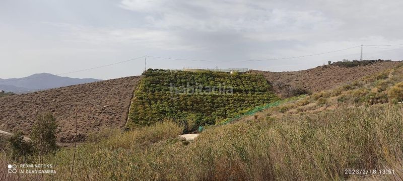 Foto a27652a2-b18e-4853-9172-40e165b74317. Finca rústica a Canillas de Aceituno