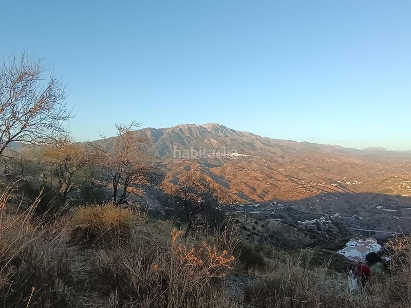 Foto e54df7ca-9a18-4dee-b4a4-5d010746ee1e. Finca rústica a Canillas de Aceituno