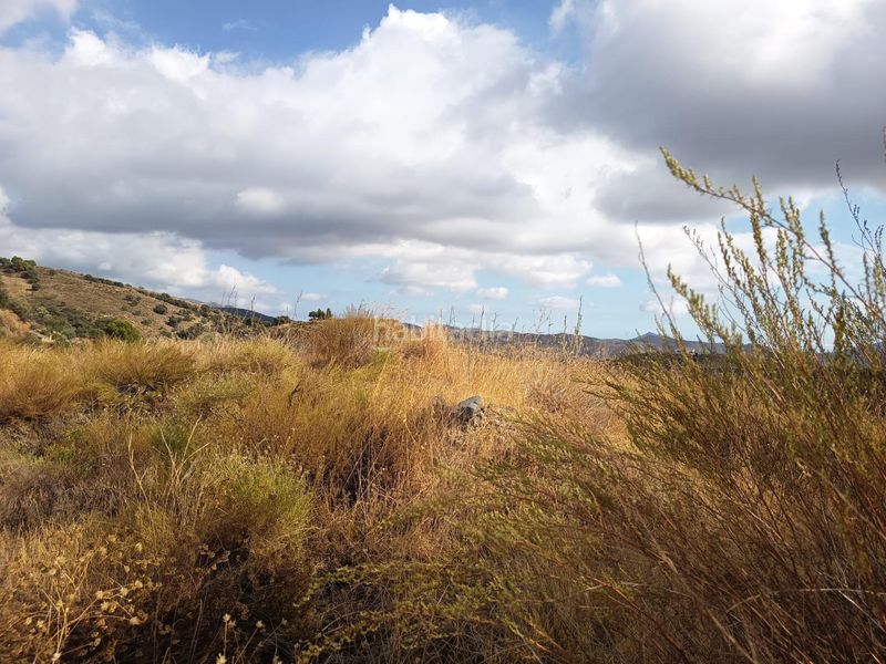 Foto 42f9fb01-8768-4109-a721-a3f6fbe32451. Finca rústica a Sedella