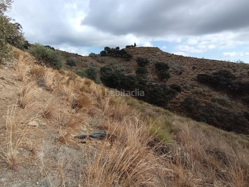 Foto 440c8220-453f-412c-8183-d5a7f9266257. Finca rústica a Sedella