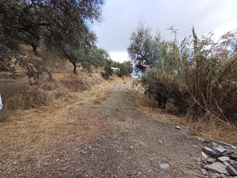 Foto 4982f7f6-0865-4348-9eed-06216f4761cd. Finca rústica a Sedella