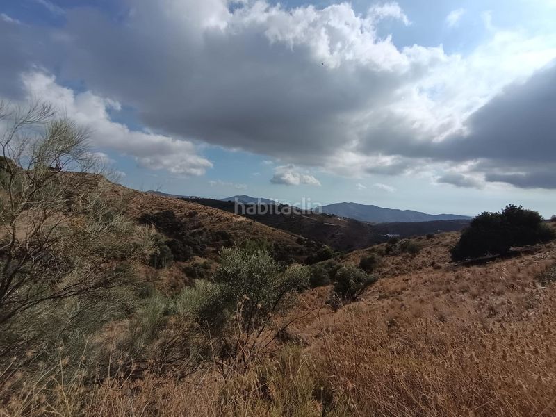 Foto 4bc274b9-21b0-46b7-b5ff-106abeacc709. Finca rústica a Sedella