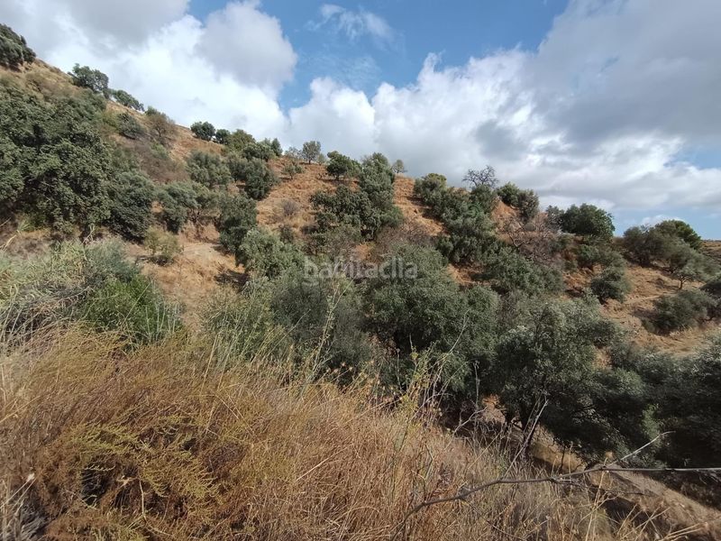 Foto 56c4e382-5ad8-4083-827d-e0affd132a87. Finca rústica a Sedella