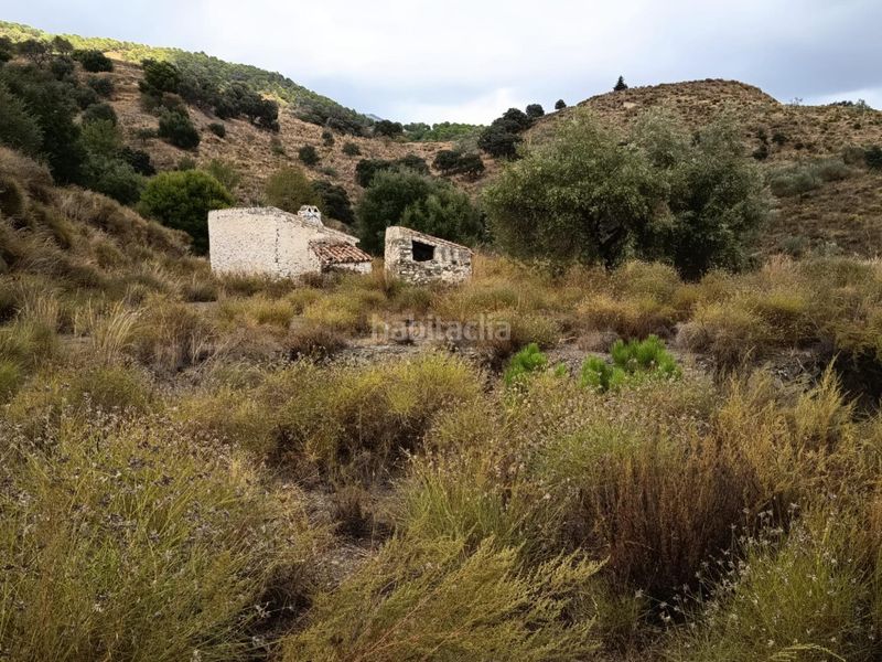 Foto 599a59a5-860a-4dce-9b56-67566250a6ee. Finca rústica a Sedella