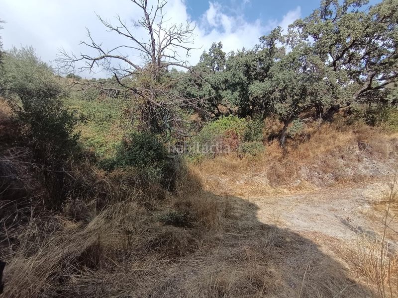 Foto 73f9a2c5-103d-4147-ad42-a8a5359b18a5. Finca rústica a Sedella
