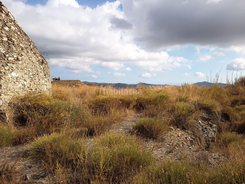 Foto 9001ca2a-a0bd-4b03-99d1-d91720776721. Finca rústica a Sedella