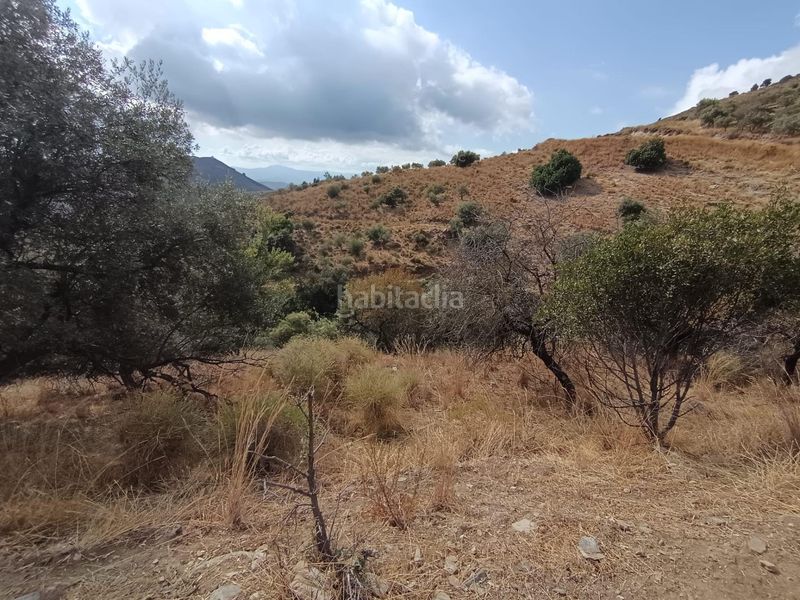 Foto 906e43b2-efb8-457c-b010-3ff1282e6c7f. Finca rústica a Sedella