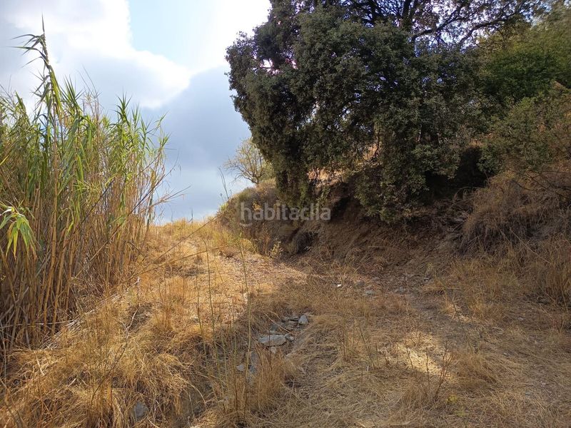 Foto a36588cc-a228-4853-8fbb-eae6c6b2f515. Finca rústica a Sedella