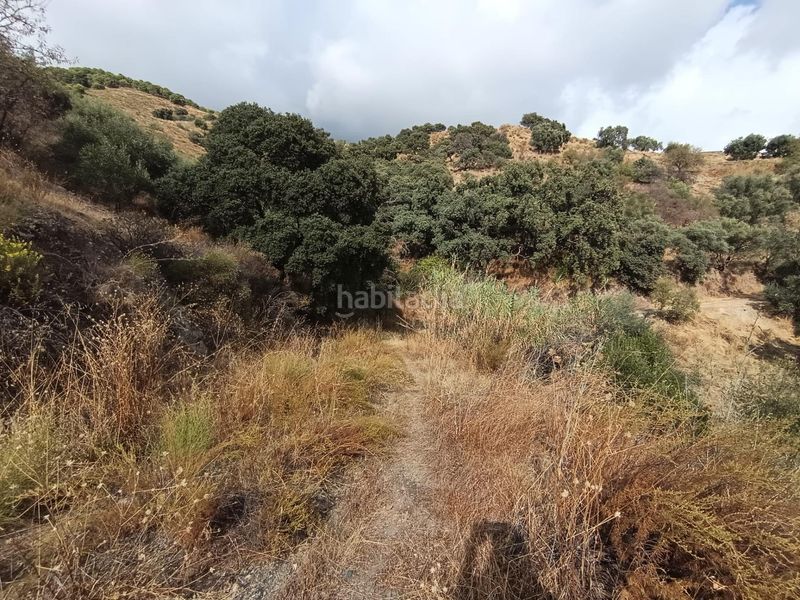 Foto a63e09f2-0665-41c2-8f05-9625a6d2998d. Finca rústica a Sedella