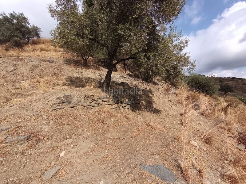 Foto ae816f39-d651-4f3b-b740-6e9b87d5838d. Finca rústica a Sedella