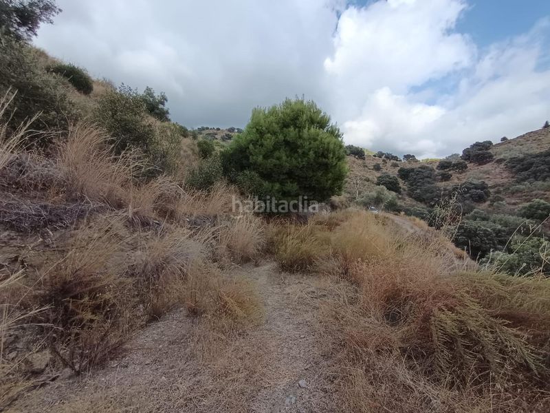 Foto c03baf08-b318-47fd-a593-4d4b1c5160b6. Finca rústica a Sedella