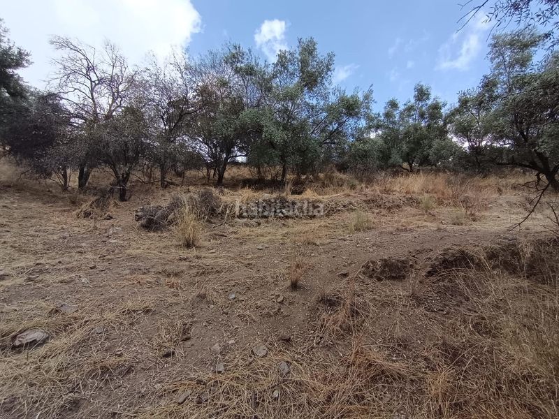 Foto c118f856-3215-4c51-9573-af6181e2f44c. Finca rústica a Sedella