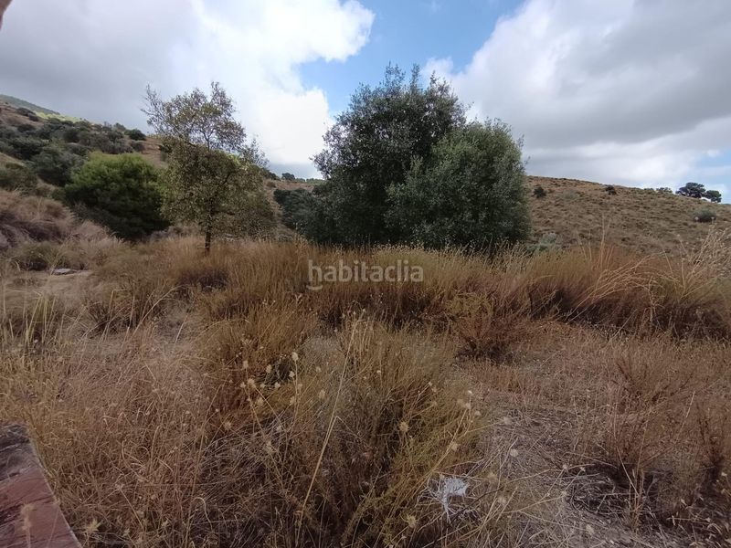 Foto c4521402-ed6b-4cbc-9b98-767ab6cbae66. Finca rústica a Sedella