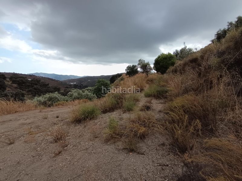 Foto cfb0f115-9860-4f84-ba1f-ca123164783c. Finca rústica a Sedella