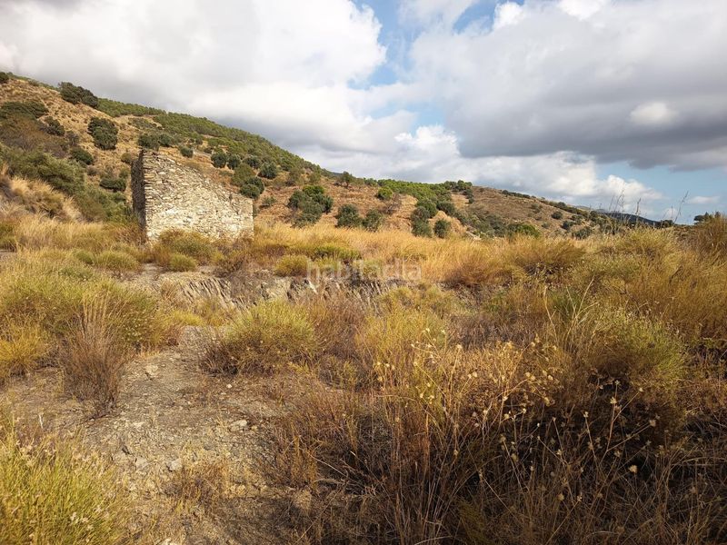 Foto ec980269-6382-4001-82ad-e39c5bfc181c. Finca rústica a Sedella