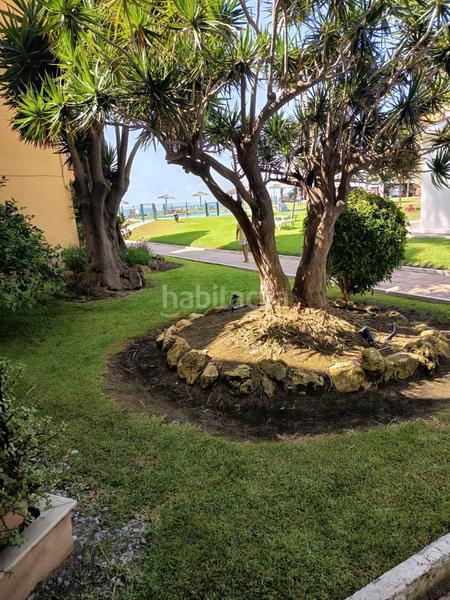 Foto 863af97c-771d-4a9a-8ddd-286e74bc626b. Apartamento en Guadalmansa Estepona