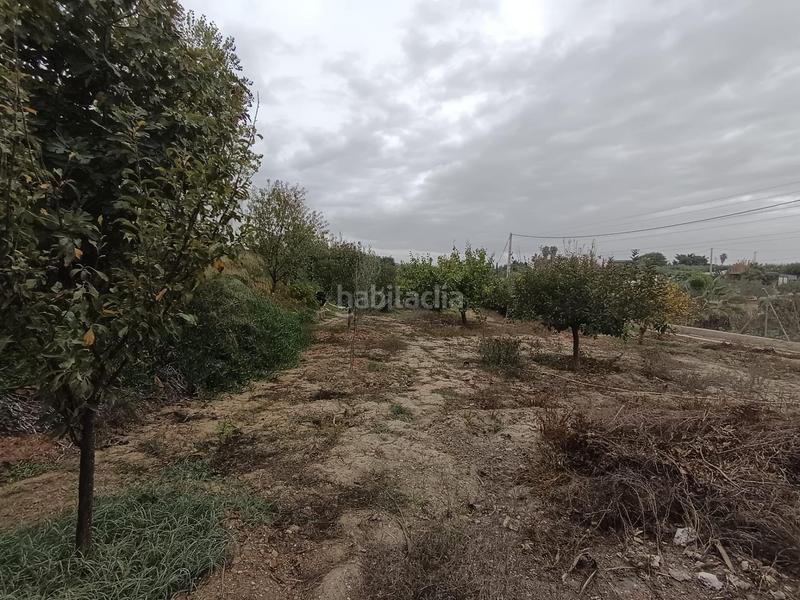 Foto 3ae34890-1df3-40ad-a84d-4dcb9ba8bcc9. Masia amb calefacció aparcament piscina a Villafranco del Guadalhorce Alhaurín el Grande