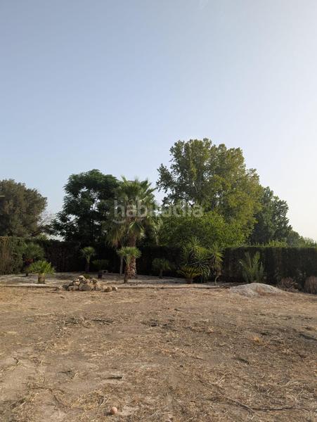 Foto 3b69591d-4ee7-4497-a173-a28e79ca6655. Wohngrundstück in torre de san miguel 344 in Era Alta Murcia