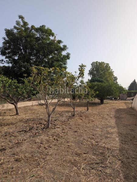 Foto f56f7146-577a-467b-b898-f1a15d3e6523. Wohngrundstück in torre de san miguel 344 in Era Alta Murcia