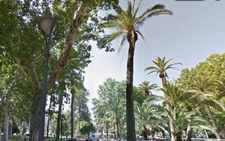 Pis a Centro. Centro gran capitán!