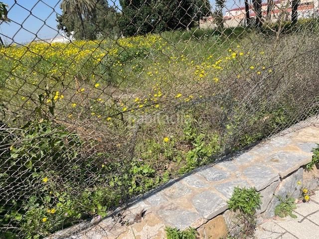 Foto fc2db0c8-1daa-42fe-828f-e48641dd3b53. Terreny residencial a carretera madrid-cartagena 2 a Murcia