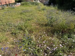 Terreny residencial a El Brillante -El Naranjo - El Tablero