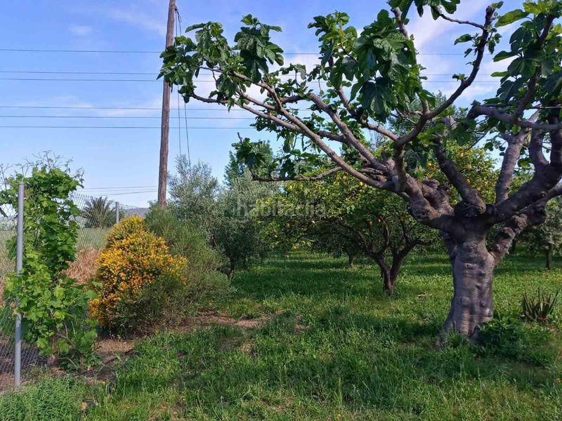 Foto 3142c6a6-0a66-444e-b51a-59b760672829. Finca rústica a El Higuerón Córdoba