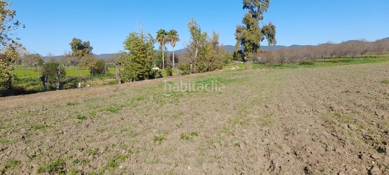 Foto 4ee59829-32f0-4b26-a784-5f08b0cde2ab. Finca rústica a El Higuerón Córdoba