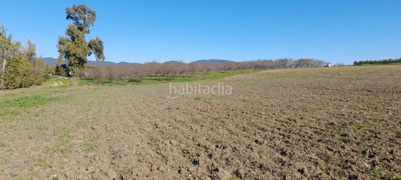 Foto 5e77e9ca-b8b0-4ab6-8ca0-94910a4c7364. Finca rústica a El Higuerón Córdoba