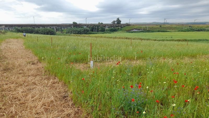 Foto a9a23e6a-cca9-4447-968c-2df624a1357d. Finca rústica a El Higuerón Córdoba