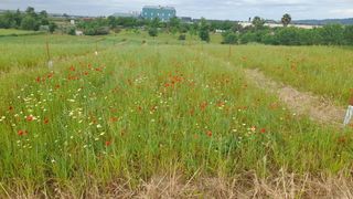 Fondo rustico in El Higuerón. Amplio terreno rural