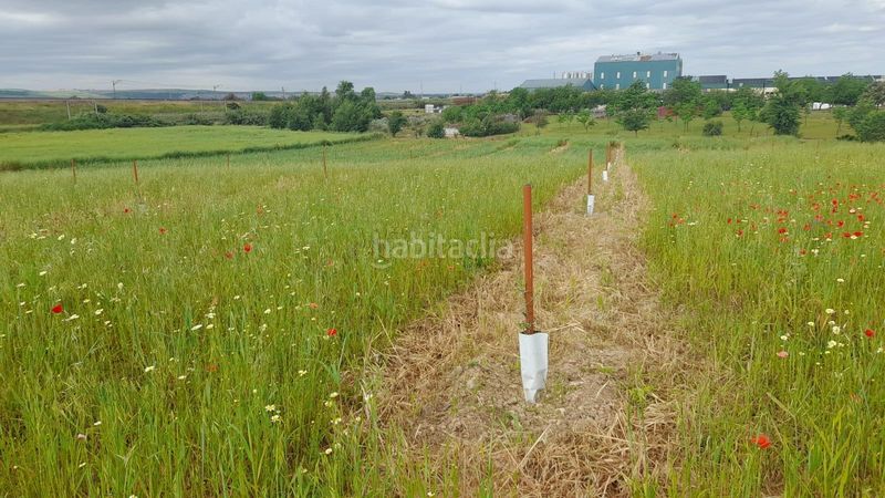 Foto f5c34b20-3e9d-4b15-8b2e-a8d61f3a8ff6. Finca rústica a El Higuerón Córdoba